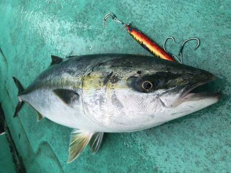 広進丸 釣果