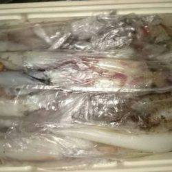 寿裕 （YOSHIHIRO） 釣果