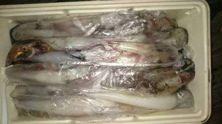 寿裕 （YOSHIHIRO） 釣果