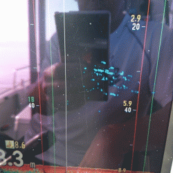 遊漁船ブルーウッズ 釣果