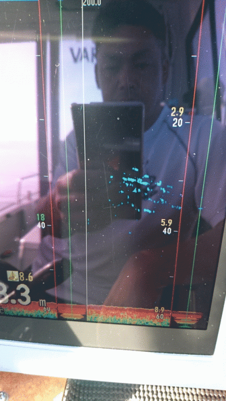 遊漁船ブルーウッズ 釣果