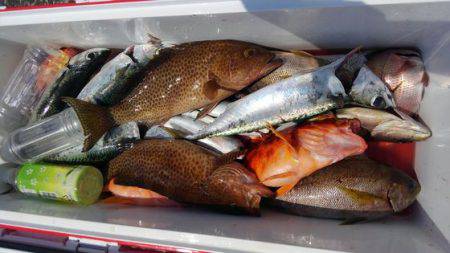 遊漁船 新鋭丸 釣果