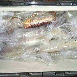 寿裕 （YOSHIHIRO） 釣果