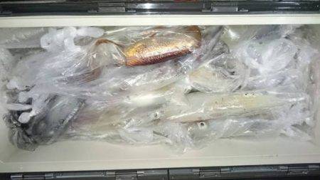 寿裕 （YOSHIHIRO） 釣果