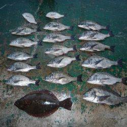 海山フィッシングセンター 釣果