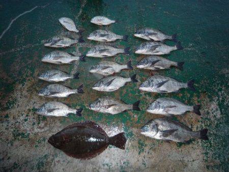 海山フィッシングセンター 釣果