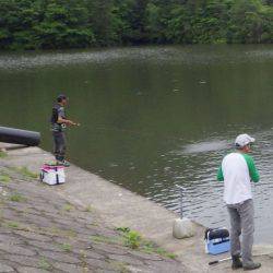 フィッシングレイクたかみや 釣果