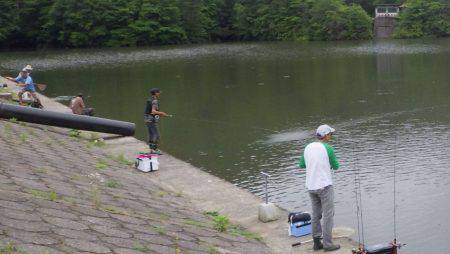 フィッシングレイクたかみや 釣果