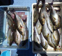石川丸 釣果