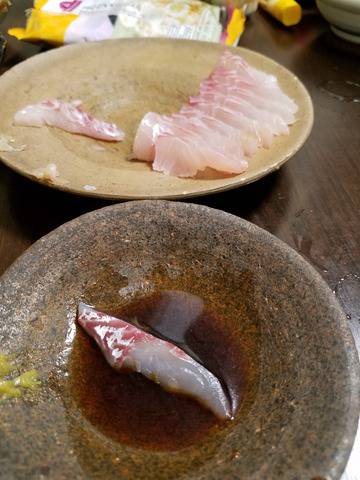 遊漁船 ニライカナイ 釣果