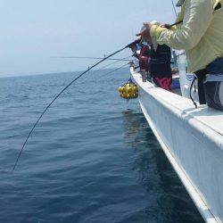 第五慶門丸 釣果