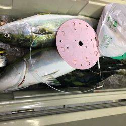 龍宮丸 釣果