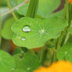 小菅トラウトガーデン 釣果