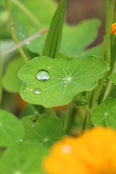 小菅トラウトガーデン 釣果