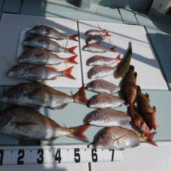 遊漁船 幸友丸 釣果