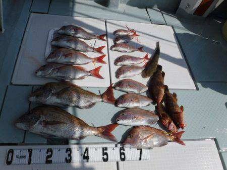 遊漁船 幸友丸 釣果