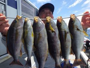 石川丸 釣果
