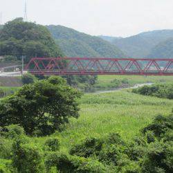 狩野川(狩野川漁業協同組合) 釣果