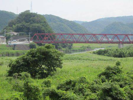 狩野川(狩野川漁業協同組合) 釣果