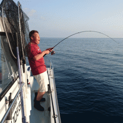 遊漁船ブルーウッズ 釣果