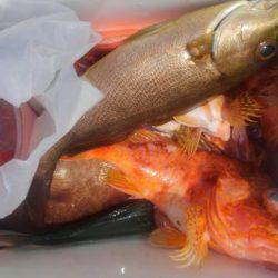 遊漁船 新鋭丸 釣果