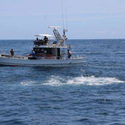 へいみつ丸 釣果