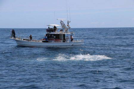 へいみつ丸 釣果