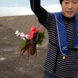 旧一文字のマダコ