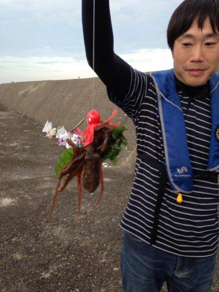 旧一文字のマダコ