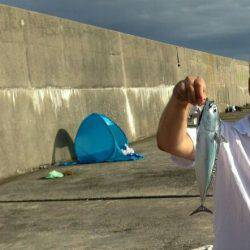 シーラ、ソーダも昼前から