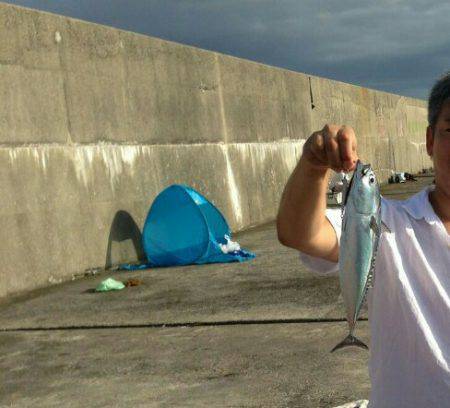 シーラ、ソーダも昼前から