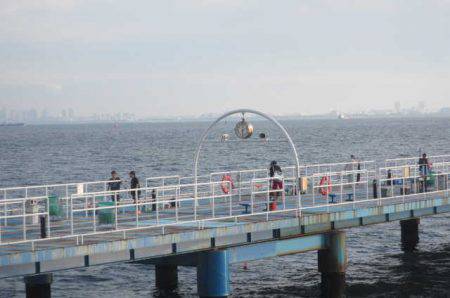 オリジナルメーカー海づり公園(市原市海づり施設) 釣果