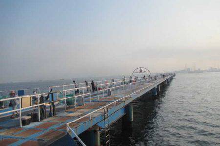 オリジナルメーカー海づり公園(市原市海づり施設) 釣果