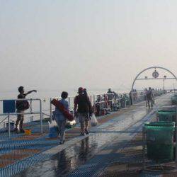 オリジナルメーカー海づり公園(市原市海づり施設) 釣果