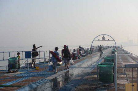 オリジナルメーカー海づり公園(市原市海づり施設) 釣果