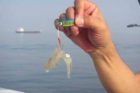 オリジナルメーカー海づり公園(市原市海づり施設) 釣果