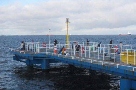 オリジナルメーカー海づり公園(市原市海づり施設) 釣果