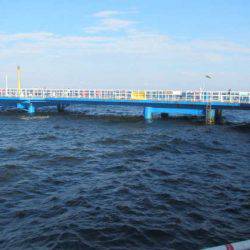 オリジナルメーカー海づり公園(市原市海づり施設) 釣果