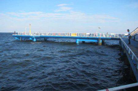 オリジナルメーカー海づり公園(市原市海づり施設) 釣果