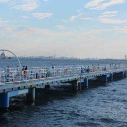 オリジナルメーカー海づり公園(市原市海づり施設) 釣果