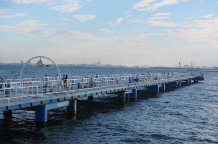 オリジナルメーカー海づり公園(市原市海づり施設) 釣果