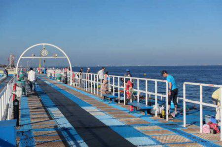 オリジナルメーカー海づり公園(市原市海づり施設) 釣果