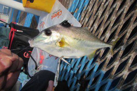 オリジナルメーカー海づり公園(市原市海づり…