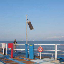 オリジナルメーカー海づり公園(市原市海づり施設) 釣果