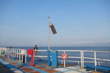 オリジナルメーカー海づり公園(市原市海づり施設) 釣果