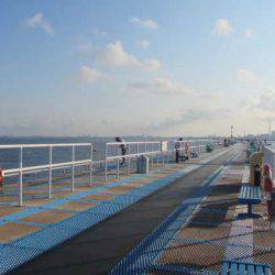 オリジナルメーカー海づり公園(市原市海づり施設) 釣果