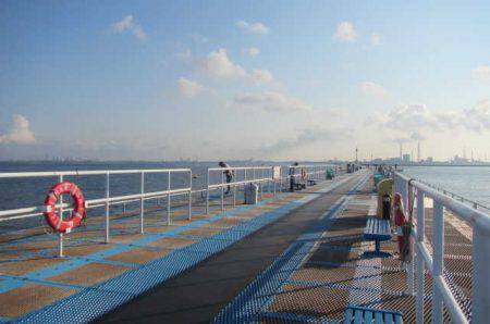 オリジナルメーカー海づり公園(市原市海づり施設) 釣果