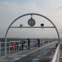 オリジナルメーカー海づり公園(市原市海づり施設) 釣果