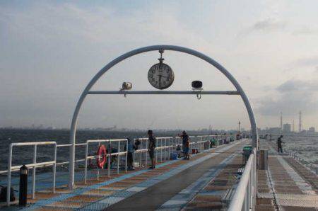 オリジナルメーカー海づり公園(市原市海づり施設) 釣果