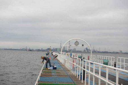 オリジナルメーカー海づり公園(市原市海づり施設) 釣果